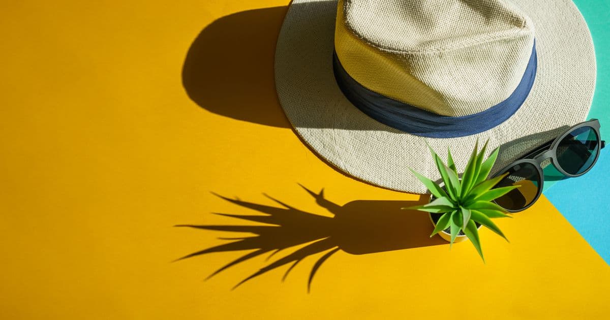 Flat lay of a straw hat, sunglasses and a green plant on a bright colorful backdrop
