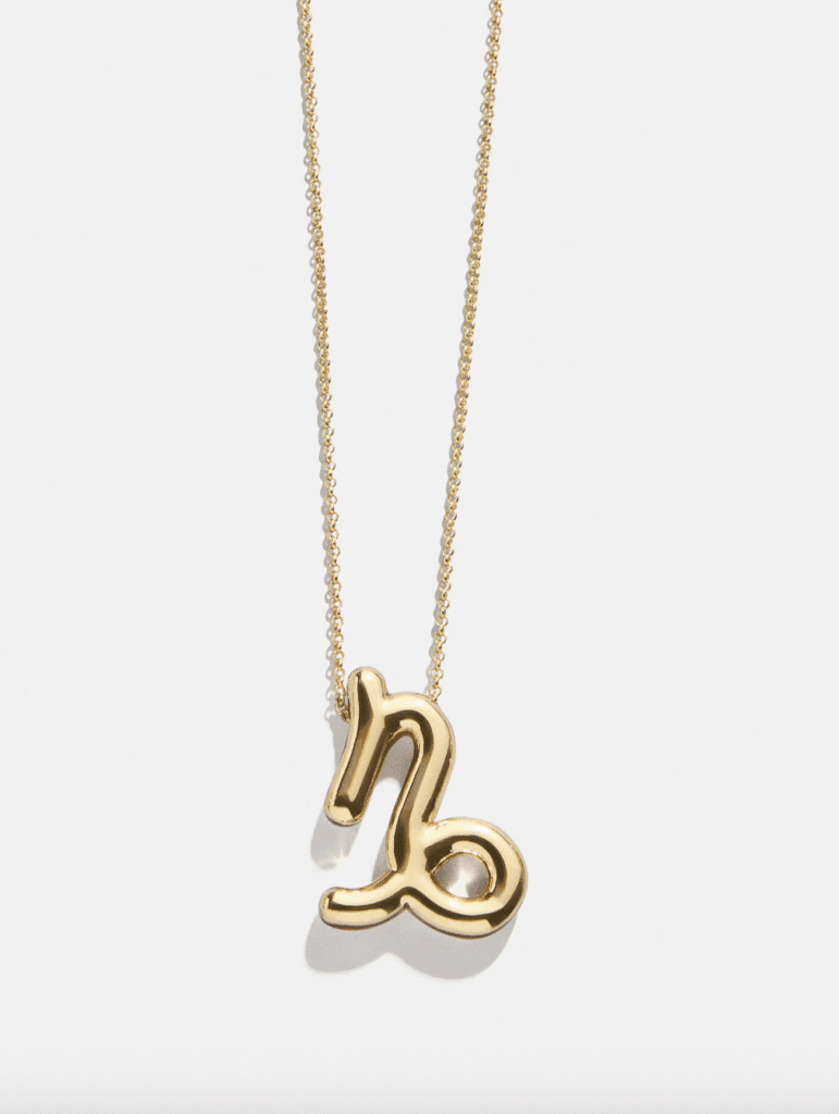 Bubble Zodiac Necklace for Capricorn gift
