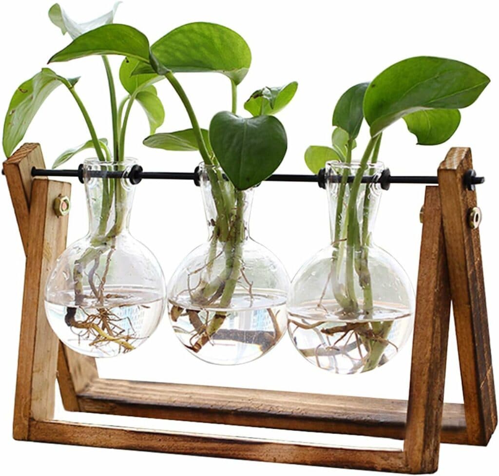 Plant propagation station with wooden stand for Taurus gift