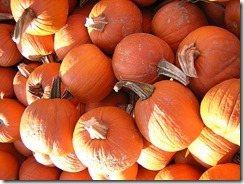 1564468674_38b1179fc7_z