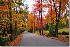 5134470104_96ae371cde_z (1)