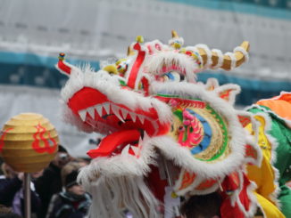 chinese new year dragon