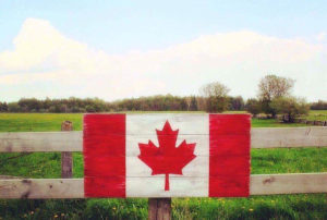canada day party celebration
