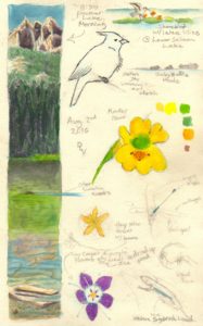 outdoor summer activities for kids