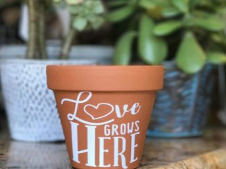 love grows wedding favor DIY