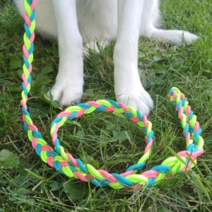 a creative puppy gift exchange game