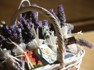 gift exchange fits under $25