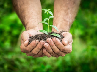 These Earth Day gift ideas will help you at your next gift exchange.