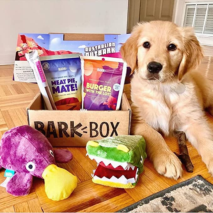 bark box subscription