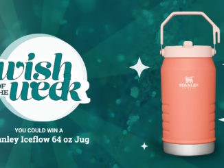 Wish of the Week Stanley Iceflow Jug