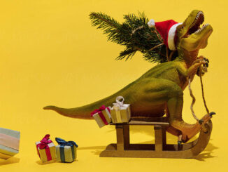 Last minute gifts that sleigh