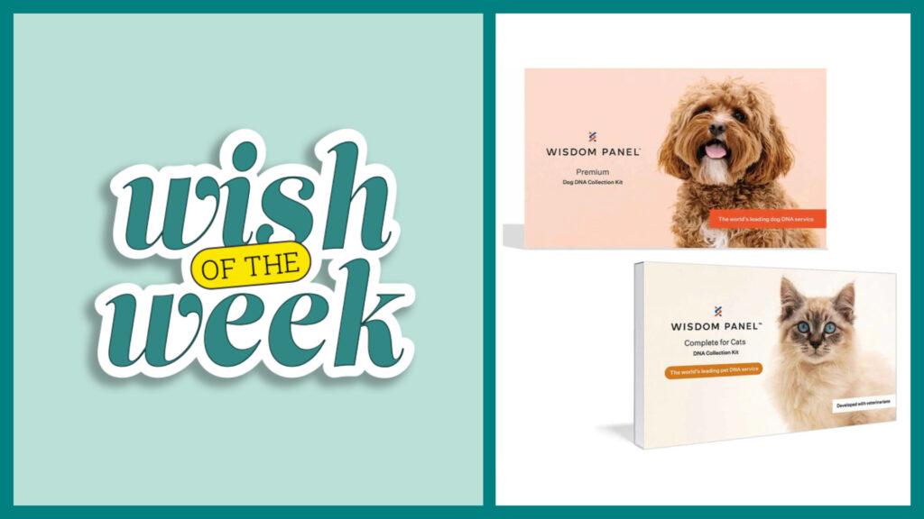Elfster's Wish of the Week featuring a Dog or Cat DNA kit plus a $100 Chewy gift card