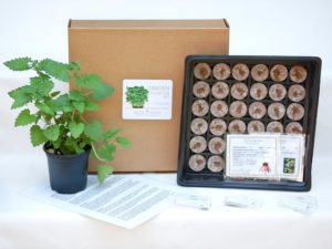 Indoor herb garden kit with a potted plant, seed trays, and soil
