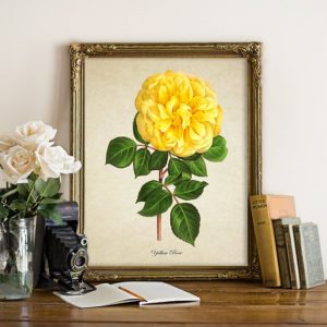 Botanical print of a yellow rose in a hybrid print style